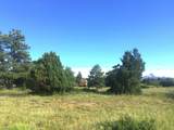 2A Beaver Pines Loop - Photo 25