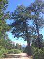 2A Beaver Pines Loop - Photo 3