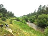 2A Beaver Pines Loop - Photo 5