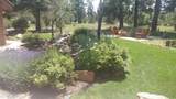 203 Puma Lane - Photo 10