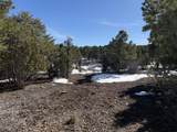 TBD Pine Drive - Photo 15