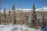 530 Elk Run - Photo 23