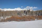 530 Elk Run - Photo 7