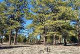 213 Big Canyon Point - Photo 27