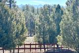 213 Big Canyon Point - Photo 29