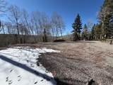 1255 Spruce Road - Photo 10