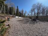 1255 Spruce Road - Photo 6