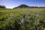 TBD County Road 56V - Photo 13