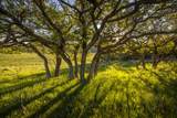 TBD County Road 56V - Photo 8