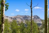 TBD Wapiti - Photo 2