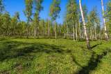 TBD Wapiti - Photo 3