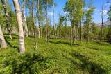 TBD Wapiti - Photo 5