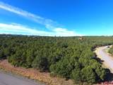 TBD Ponderosa Drive - Photo 5