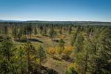 2991 Brown Ranch Road - Photo 12