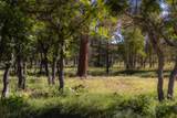 2991 Brown Ranch Road - Photo 7