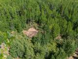 25 Garfield Street - Photo 11