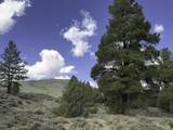 TBD 31U - Photo 11