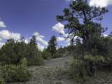 TBD 31U - Photo 12