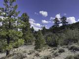 TBD 31U - Photo 5