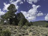 TBD 31U - Photo 7