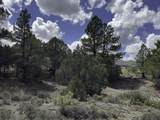 TBD 31U - Photo 9