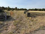 TBD Ponderosa Drive - Photo 1