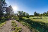 1250 Mckenzie Springs Rd Road - Photo 6