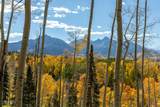 TBD Elk Run - Photo 5