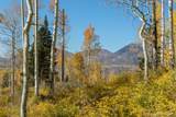 TBD Elk Run - Photo 8