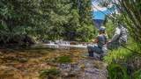 2418 Usfs Rd. 526 - Photo 3