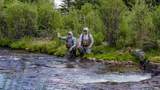 2418 Usfs Rd. 526 - Photo 7