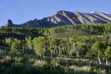 Lot 126 Aldasoro Ranch - Photo 15