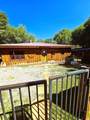 1235 Cedar Street - Photo 4