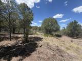 TBD Pine Drive - Photo 12