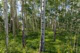 TBD Elk Run - Photo 6