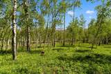 TBD Wapiti - Photo 13