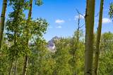 TBD Wapiti - Photo 14