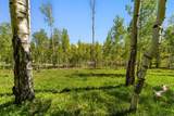 TBD Wapiti - Photo 15