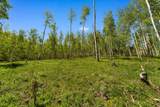 TBD Wapiti - Photo 16
