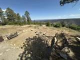 135 Canyon Rim Loop - Photo 39