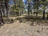 135 Canyon Rim Loop - Photo 47