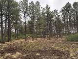 135 Canyon Rim Loop - Photo 48