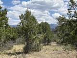 TBD Pine Drive - Photo 2