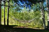 402 Adams Ranch Road - Photo 40