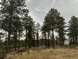 135 Canyon Rim Loop - Photo 53