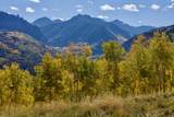 TBD Sunlight Mine Lane - Photo 47