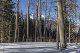TBD Elk Run - Photo 13