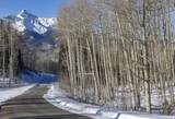 TBD Elk Run - Photo 11