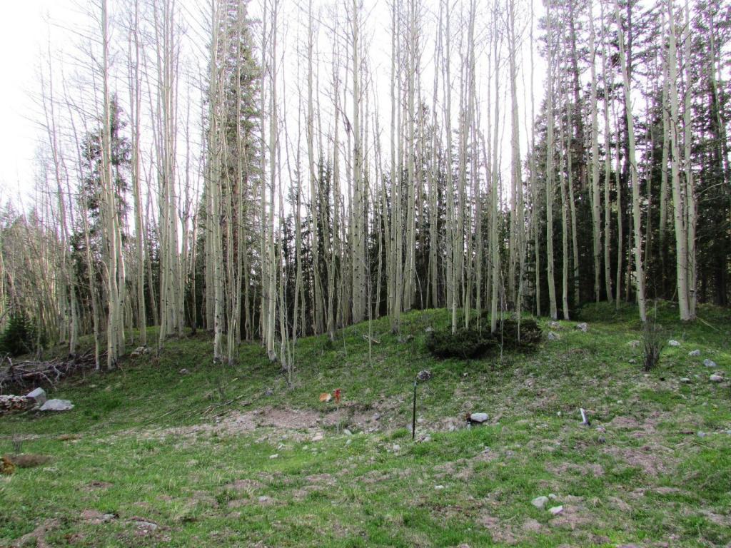 SITE 27 Backwoods - Photo 1