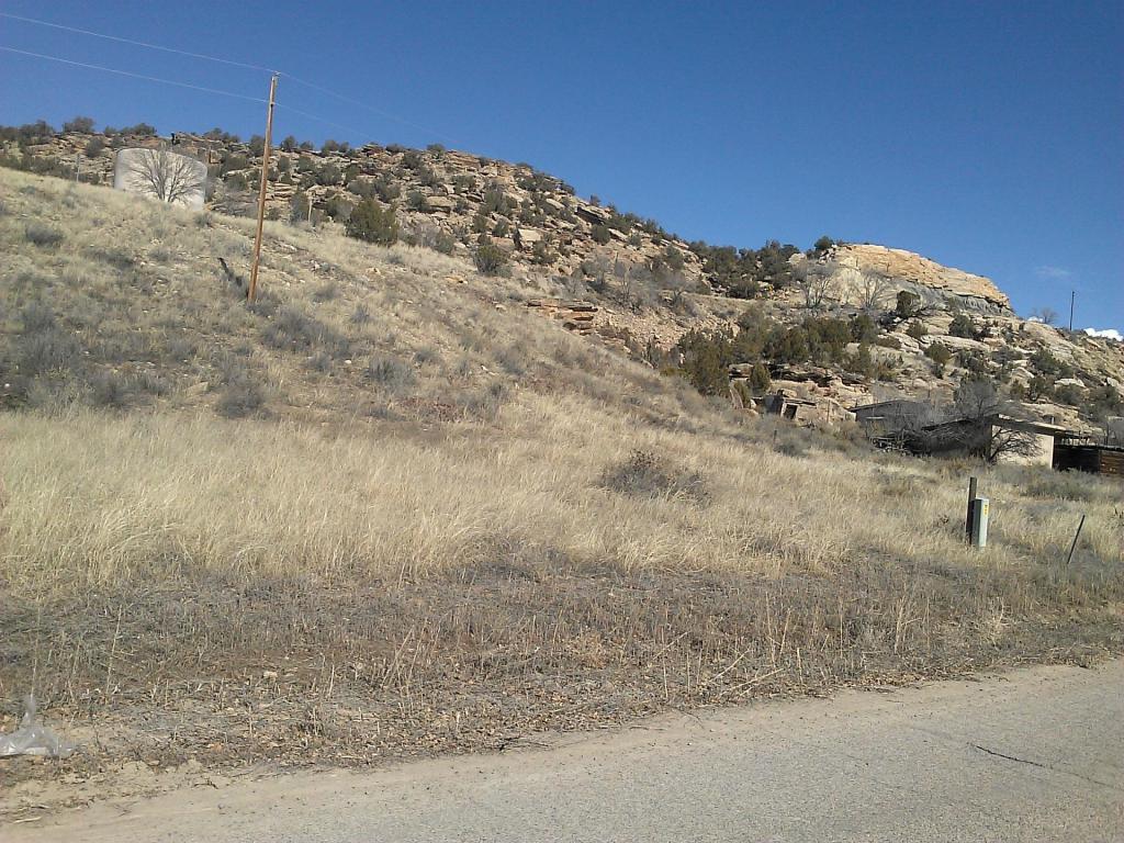 TBD Elm - Photo 1